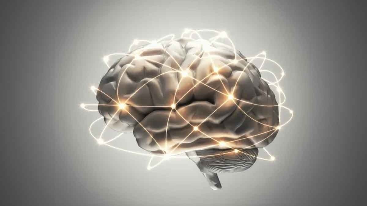 Single Workout Can Improve Your Brain gnr