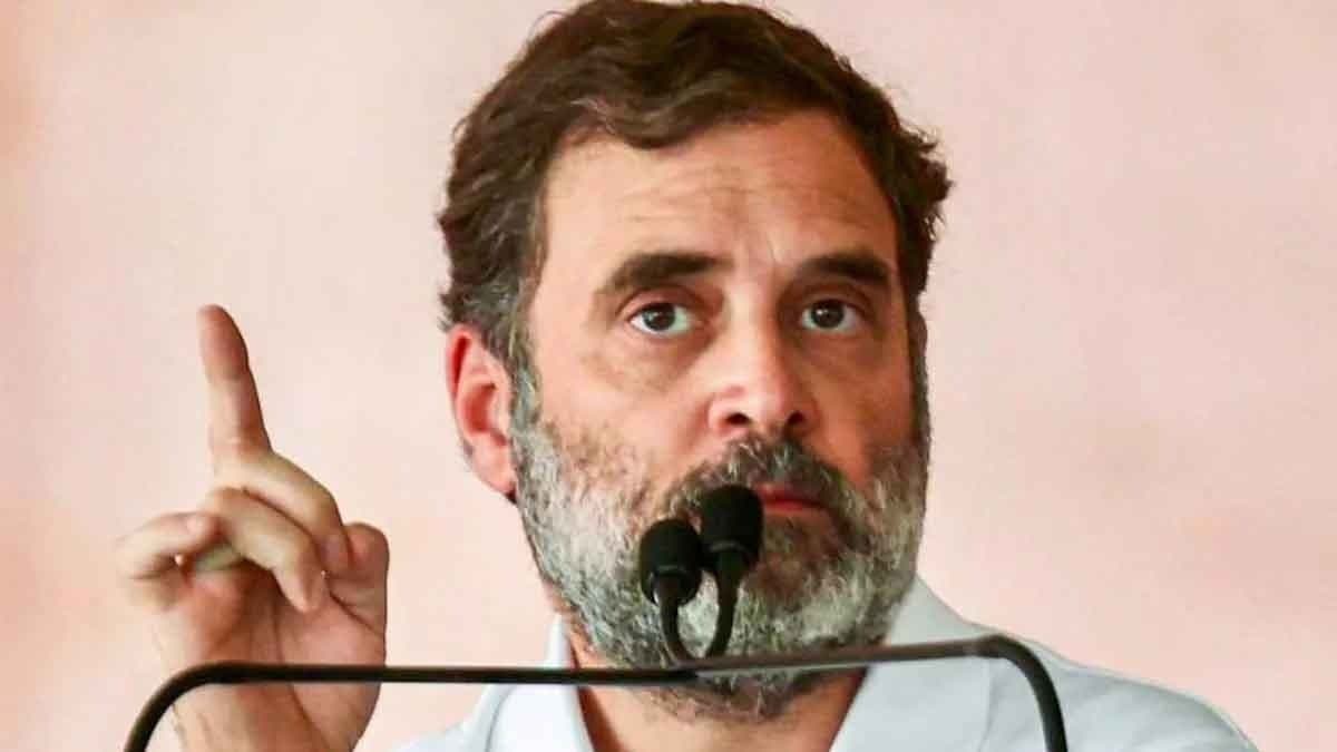 Will Inform Election Body About Complaints, Rahul Gandhi On Haryana Loss gnr
