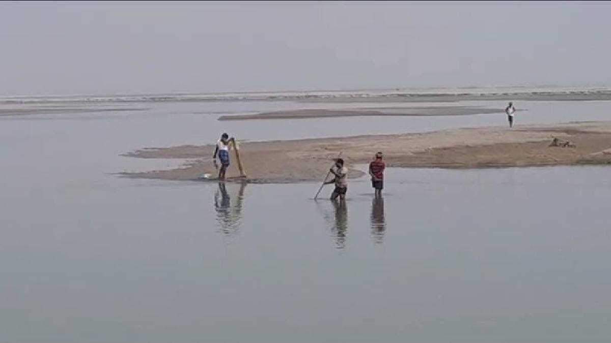 dead fishes are floating in the river teesta