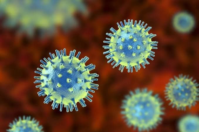 Hmpv is not a new virus says jp nadda_gnr