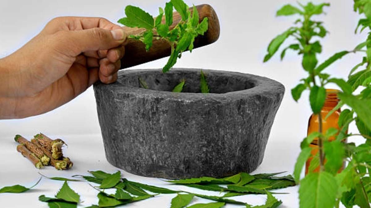 this home made Tulsi drink can boost your immune system make you healthy and energetic keeps you away from many dieases lif