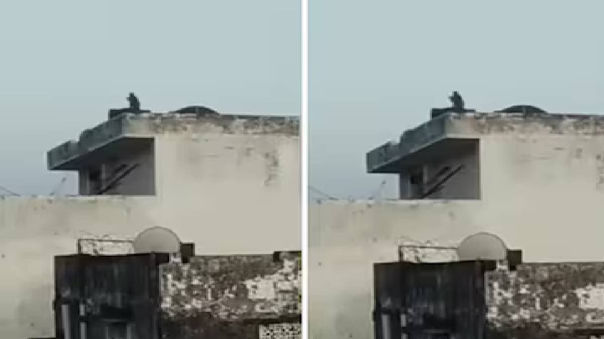 monkeys flying kites in varanasi 