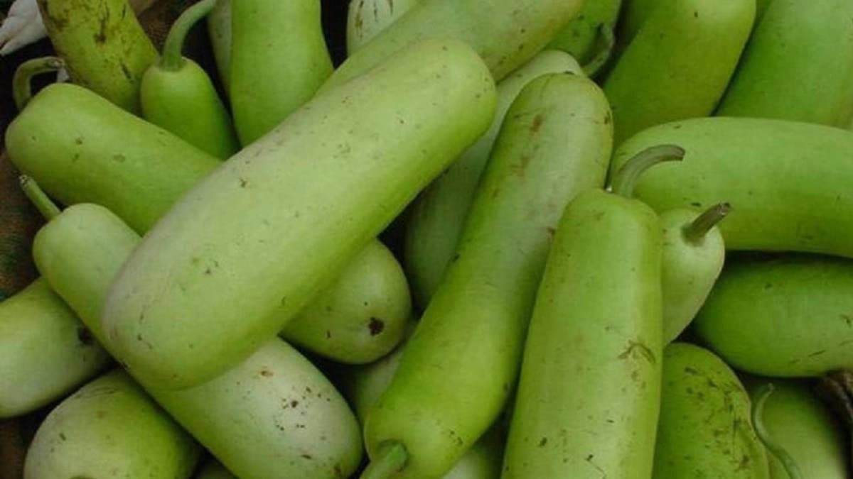 Who should avoid eating bottle gourd