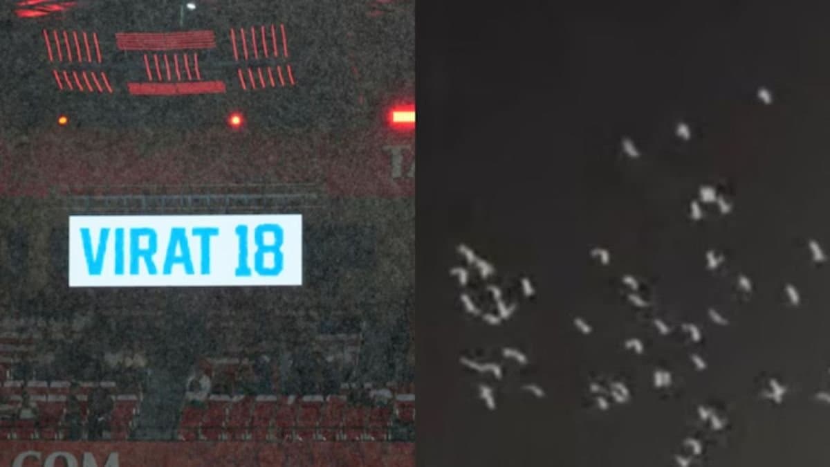 Natures tribute to Virat kohli as White pigeons fly over Chinnaswamy spt