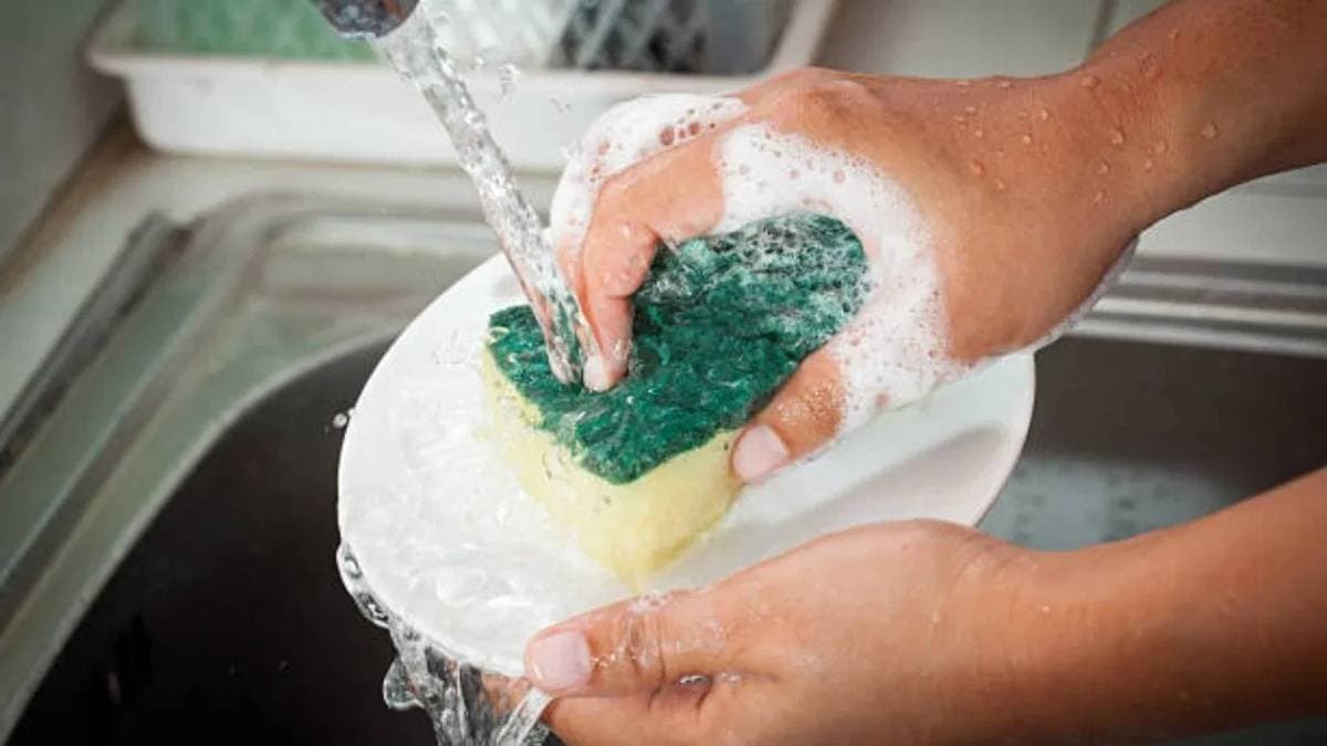 Never do these mistakes while washing utensils can make you severely ill lif