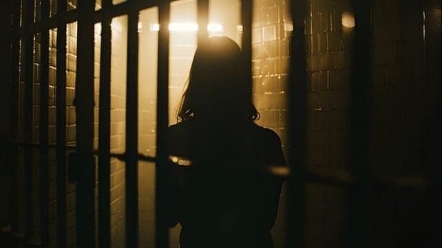 upcoming episode spoiler of zee bangla serial nim phuler modhu ent