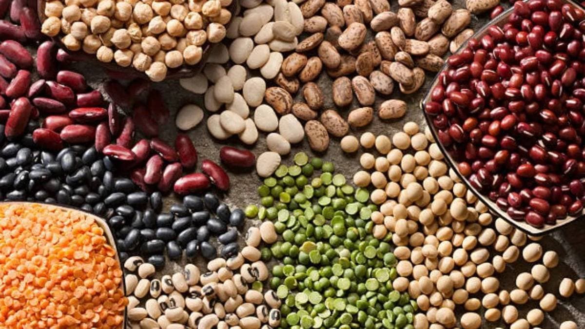  Moong masoor or which dal has  highest nutrition benefits of protein 