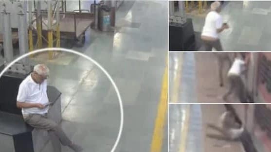 Elderly Man Scrolling Phone Misses The Train Then This Happened