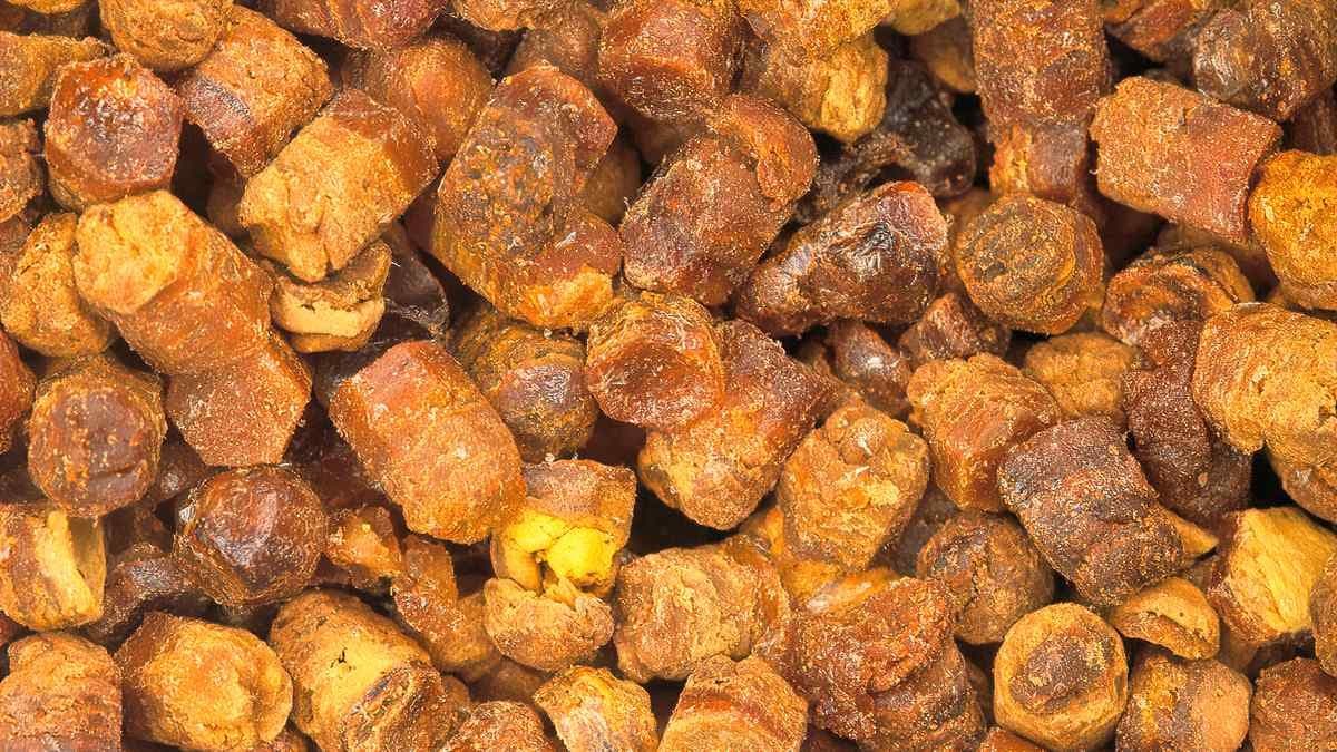 Healthy benefits of bee Bread may increase power and prevent cancer