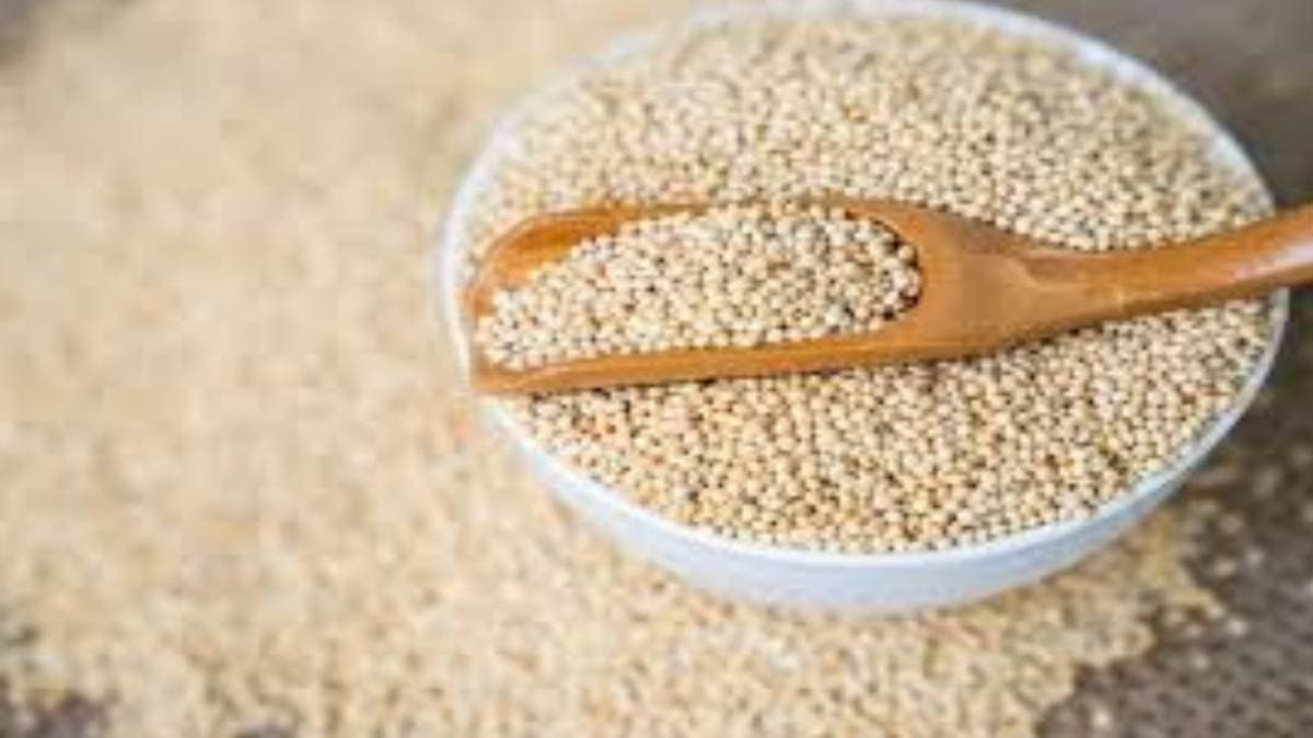 The desert is alarmingly increasing in India