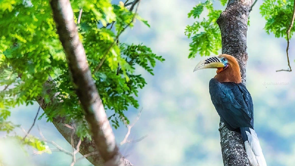 Visit This peaceful but famous village for various birds and great Scenery gnr