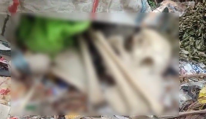 recovery of skeletons from bag