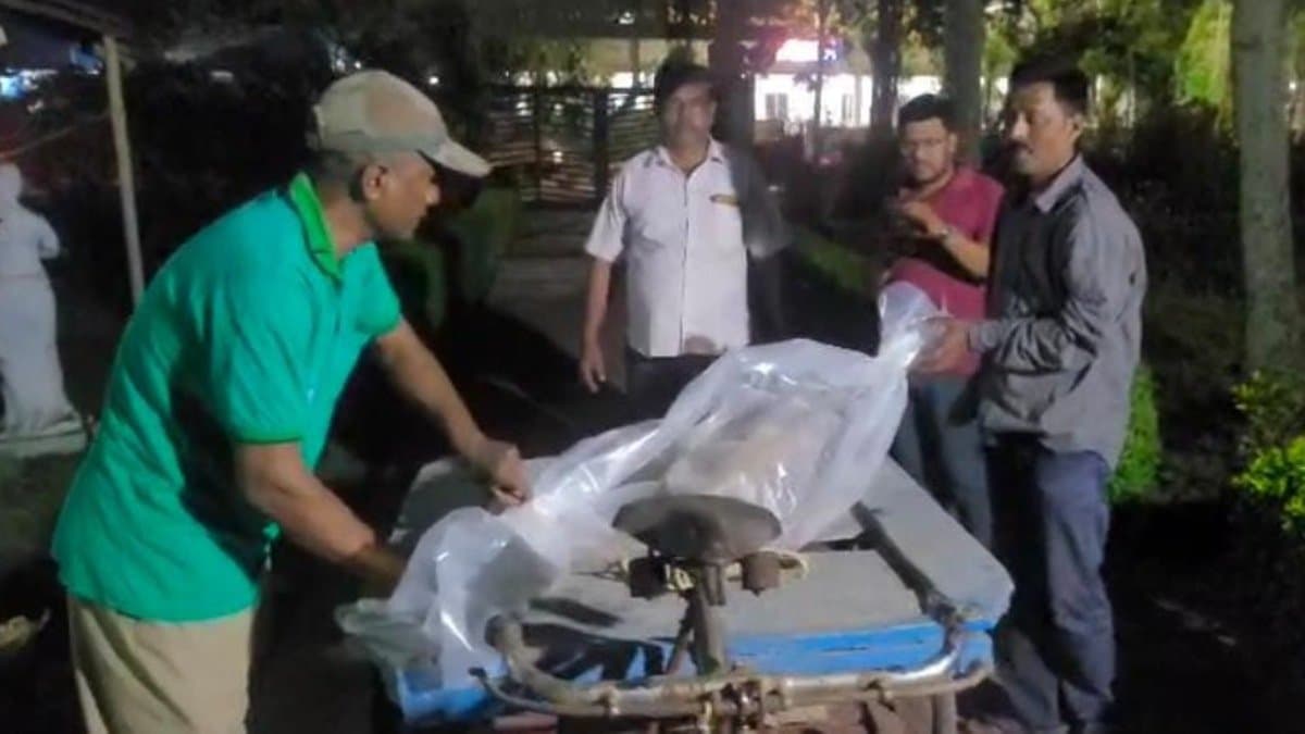 dead dolphin recovered from digha sea beach gnr