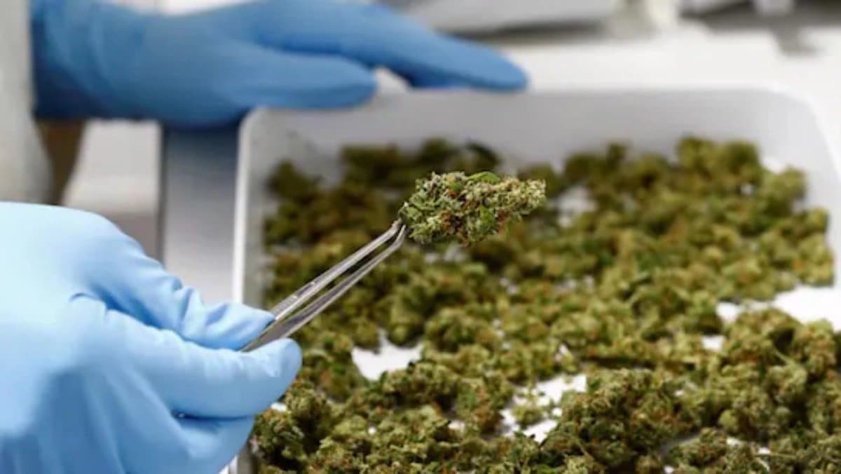 In the name of tour in Bangkok women are falling prey of drug traffickers