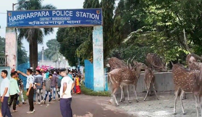 পুলিশ স্টেশন ট্যুরিজম, থানার ভিতরে হরিণ উদ্যান 