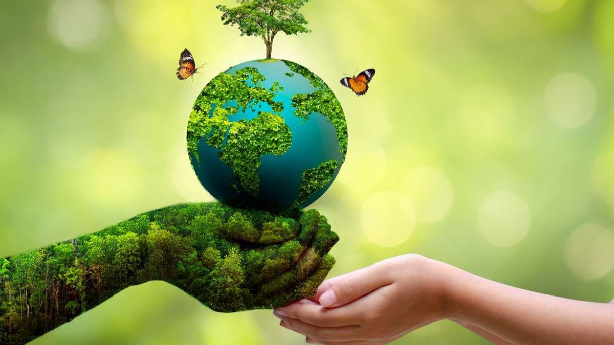 World environment day: simple ways to save environment