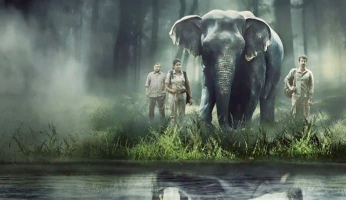 Review of Amazon Prime series Poacher