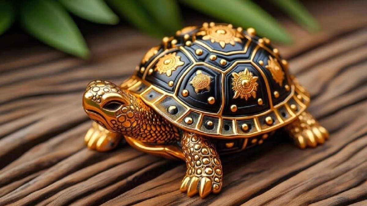 According to Vastu Keeping turtle statue in the house has many benefits