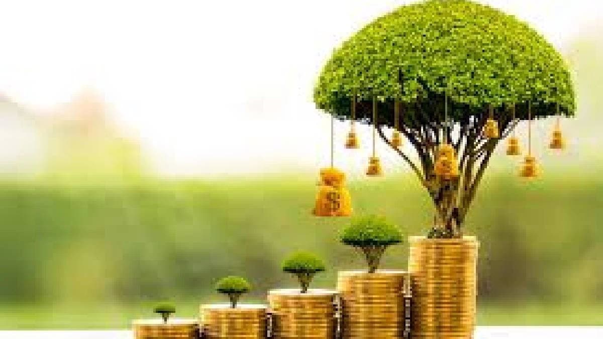 Money splashed by monkey from tree