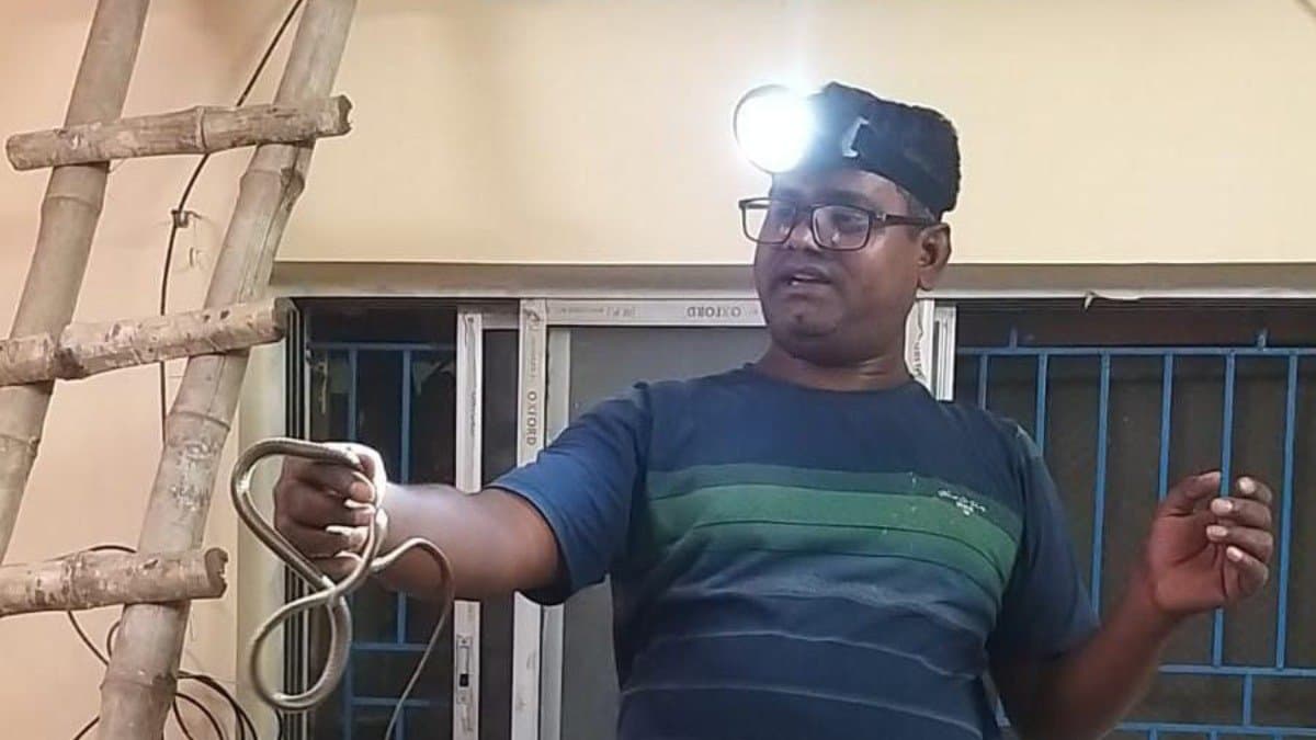 Snakes were found in large numbers inside additional district magistrate bedroom