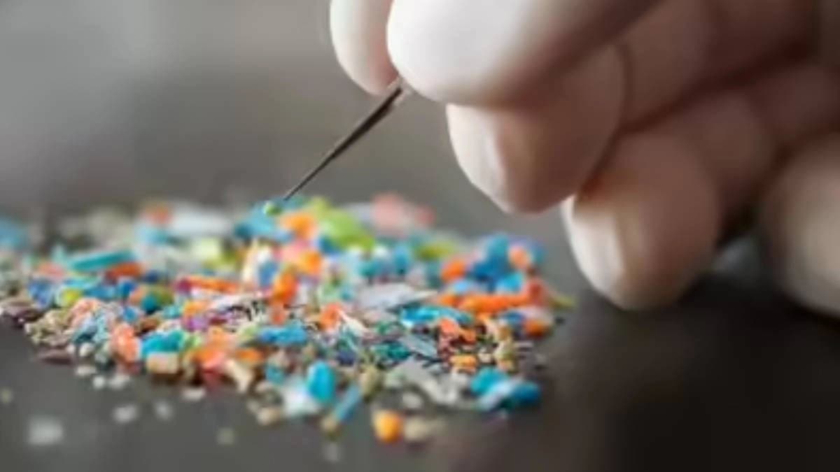 Are microplastics decaying human brains
