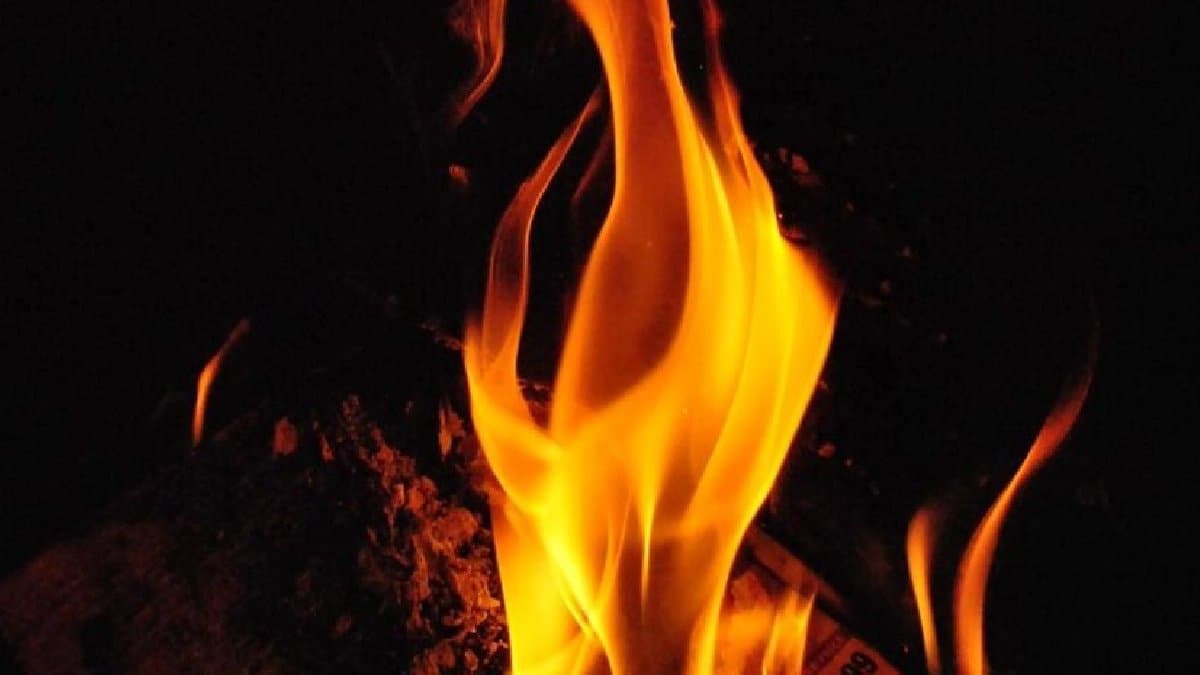 Two Weeks Ago Odisha girl Set On Fire dies in delhi 