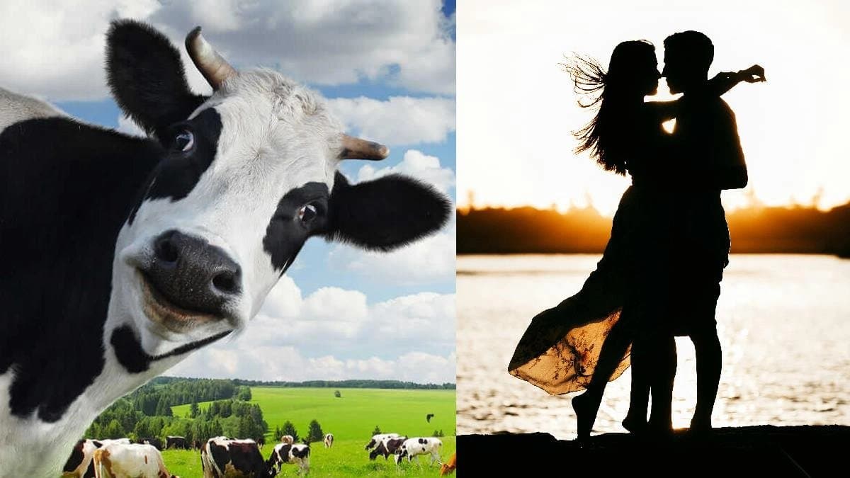 Husband gives wife to lover after finding out her Extramarital Affair