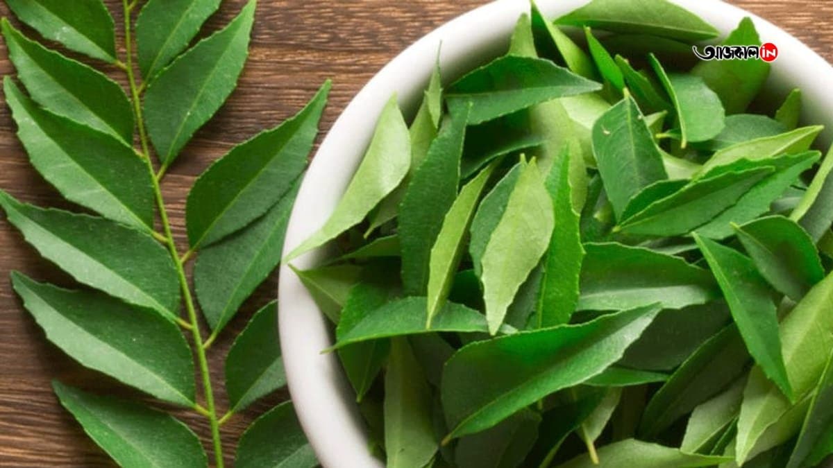 Curry leaves is used for both as spices and as herbs also and it has many health benefits to keeps you healthy lif