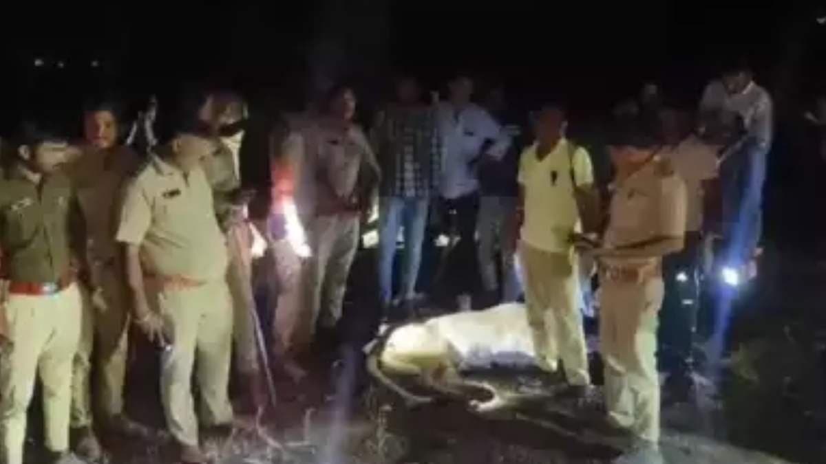 Lioness takes life of farmer and refuses to let go of body