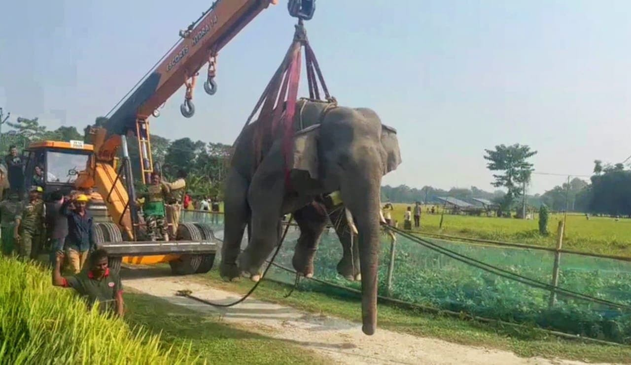 4 killed, 5 injured after elephant attacks in coochbehar