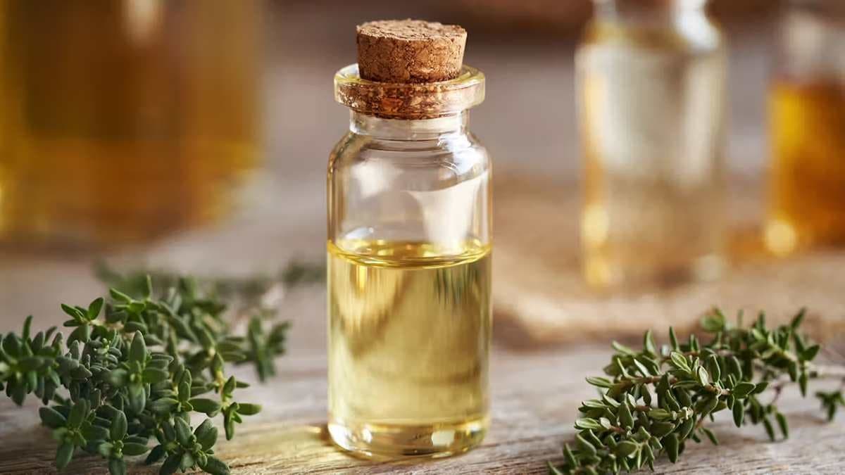 Reduces Anxiety and Helps with Digestive System thyme benefits