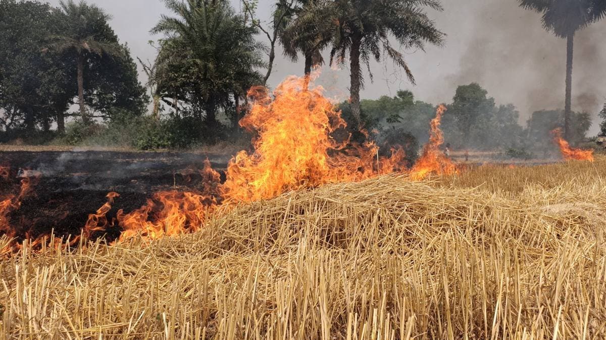 Fire engulfed several agricultural land in Murshidabad