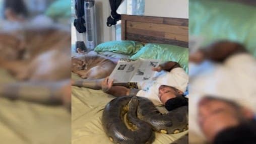 Man Relaxing With A Giant Python Stuns Internet viral video gnr 