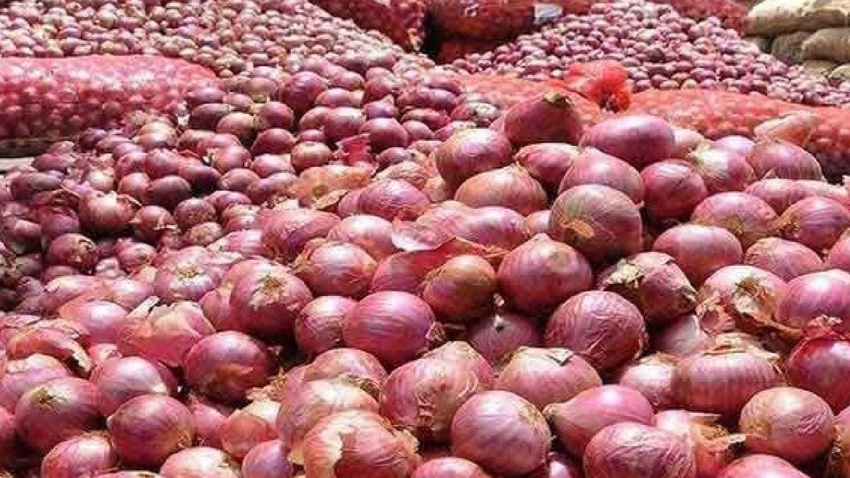 Onion Prices Surge Future Predictions Spark Concern gnr