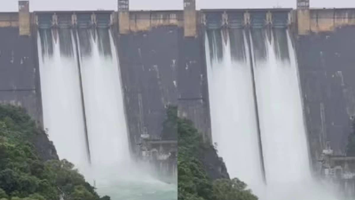 Amid Heavy Rain Bhakra Dam Level Rises 3 ft In 24 Hours