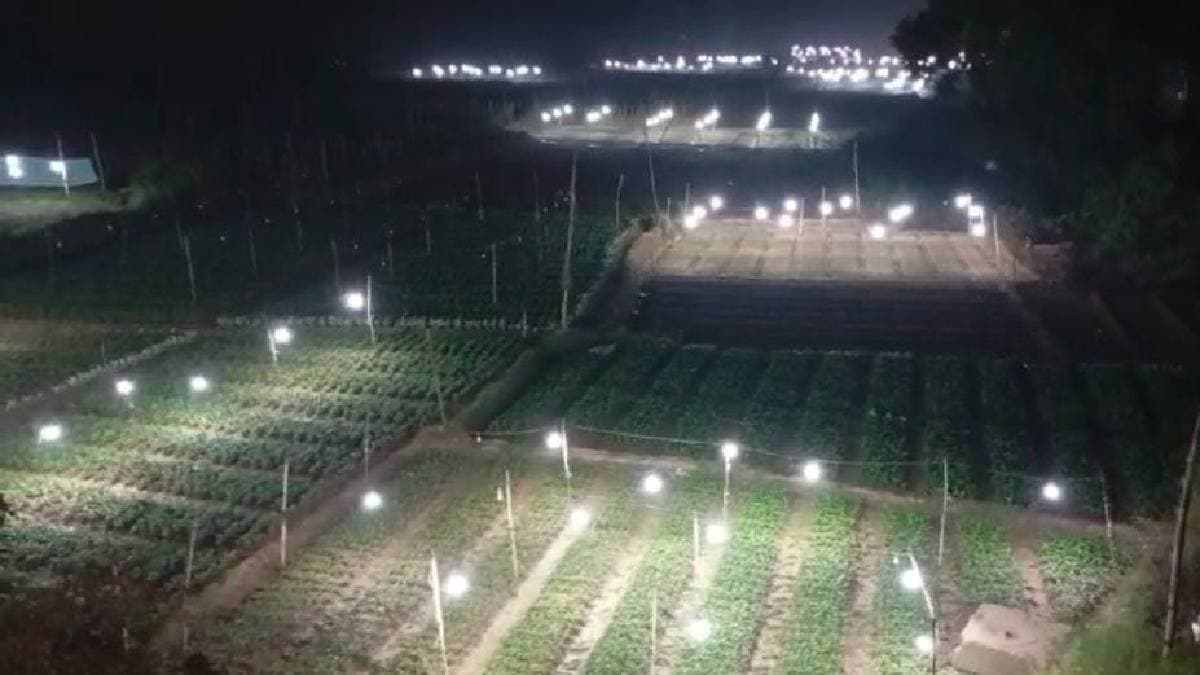 Another scientific method to cultivate flowers successfully during winter season gnr