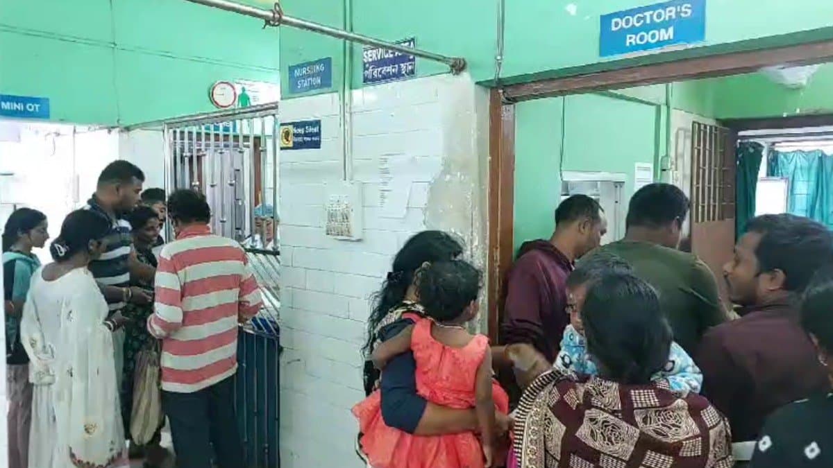 Several injured after the bee attack in Dhupguri gnr