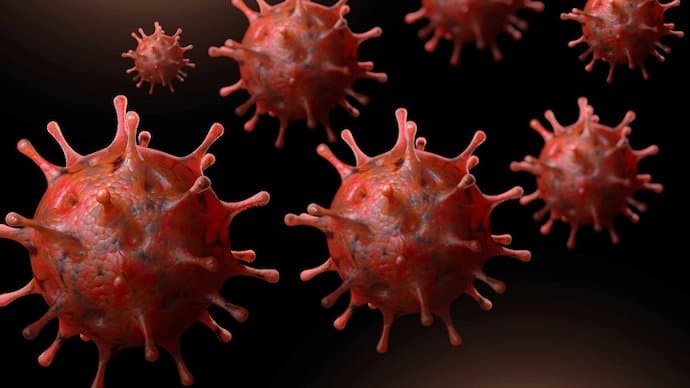 New Covid variant XEC is spreading fast in Europe gnr