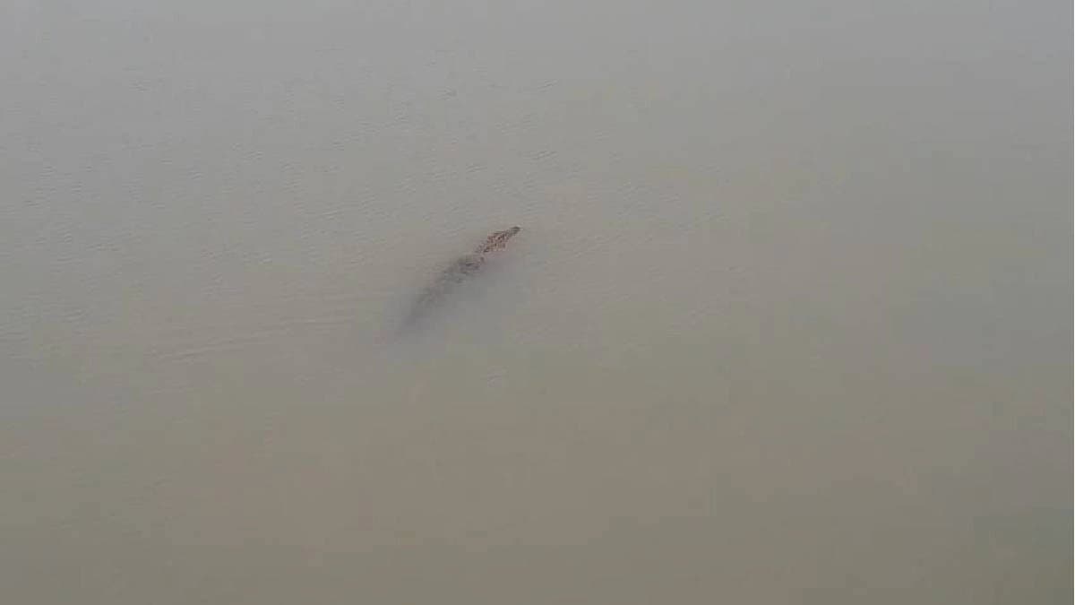 locals stop bathing in Ganga after Crocodile fear grips Konnagar after Bansberia