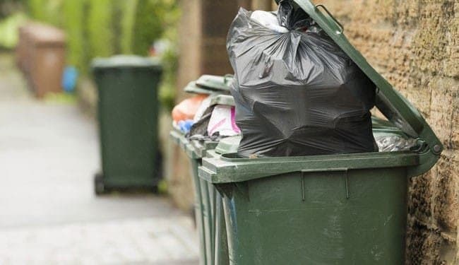 seven month old foetus found in garbage bag in mumbai_gnr