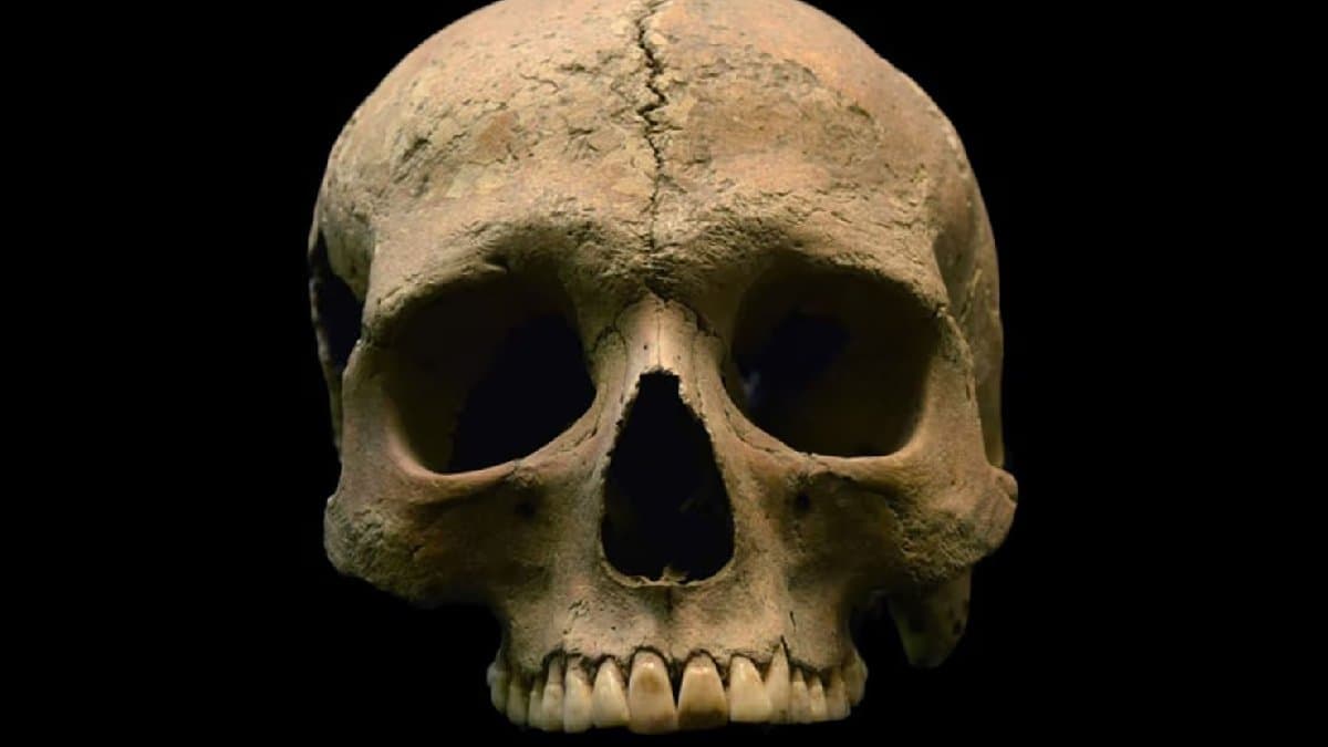  37 Victims Were Slaughtered And Eaten know about 4,000-Year-Old Massacre gnr 