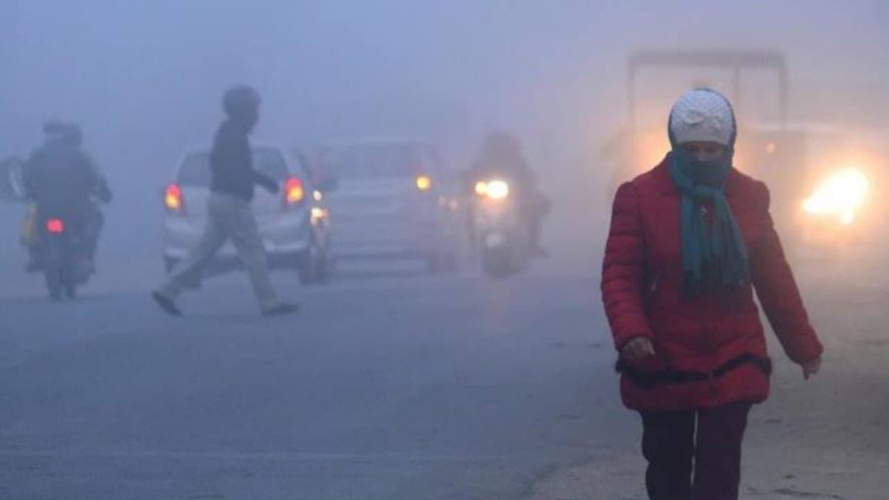 fog in delhi christmas morning
