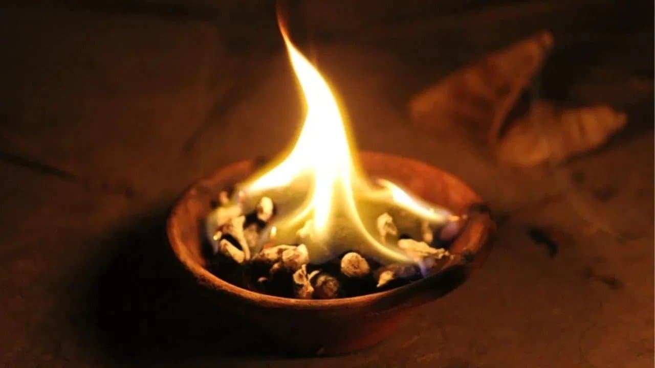 চুম্বকের মতো টেনে আনবে টাকাপয়সা! লবঙ্গের সঙ্গে এই দুই জিনিস পোড়ালেই থাকবে না সংসারে কুনজর