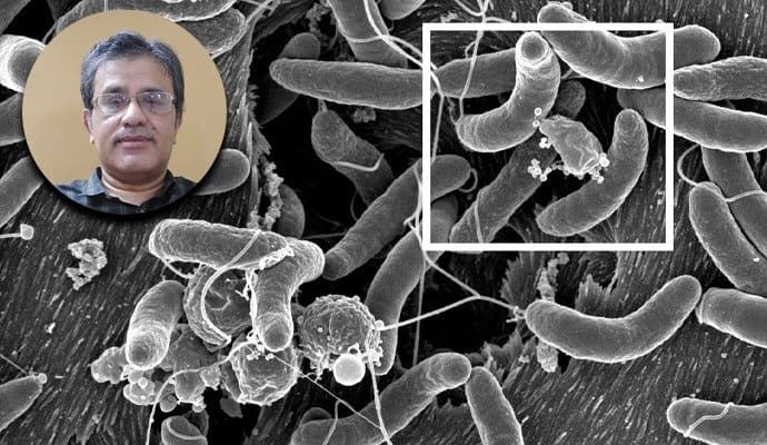 Cholera: ফুচকার জল থেকে হতে পারে কলেরা, বাঁচার উপায় বলছেন চিকিৎসক