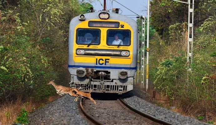 World Environment Day Photography Contest