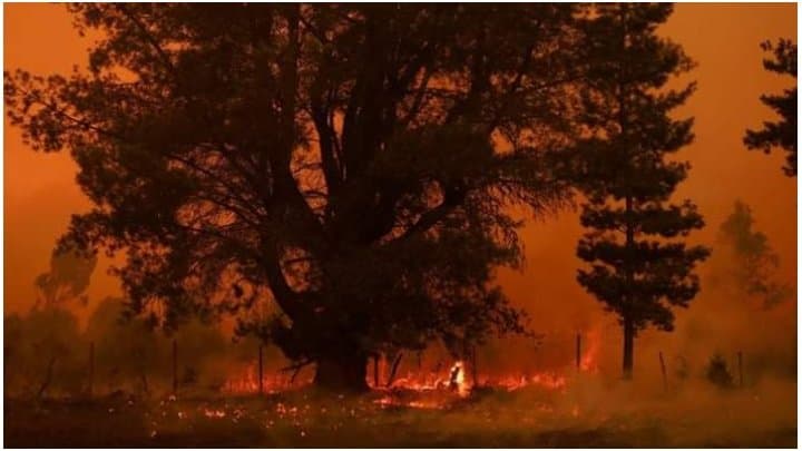 Chile Wildfires Death toll rises to 112