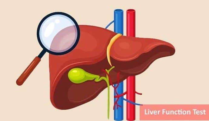 Health: ঘন ঘন পেটে ব্যথা, লিভারের কোনও জটিলতা নয় তো? এলএফটি কখন করাবেন?