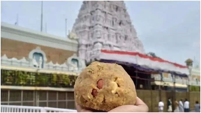 Tirupati devotees unfazed by animal fat row gnr