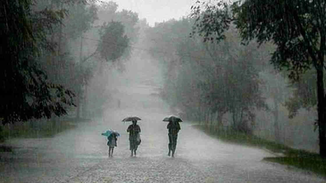 IMD Weather Forecast Rainfall Thunderstorm Warning in Three Districts in Next Two Hours in West Bengal 