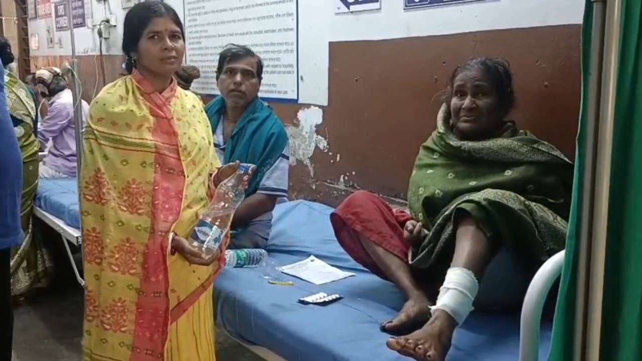 A troop of monkeys in East Midnapore terrorised locals